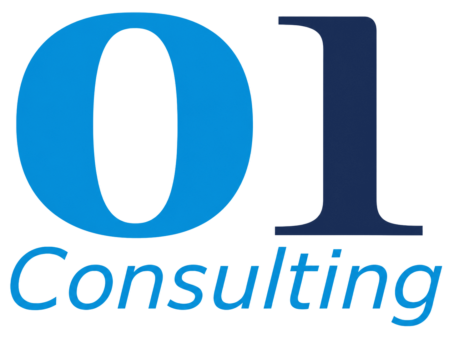 01 Consulting