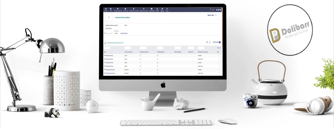 Dolibarr ERP in a professional workspace